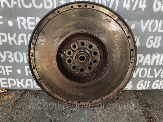 1952875413_mahovik-bu-daf