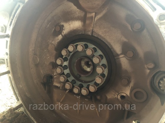 1970450475_kozhuh-mahovika-bu